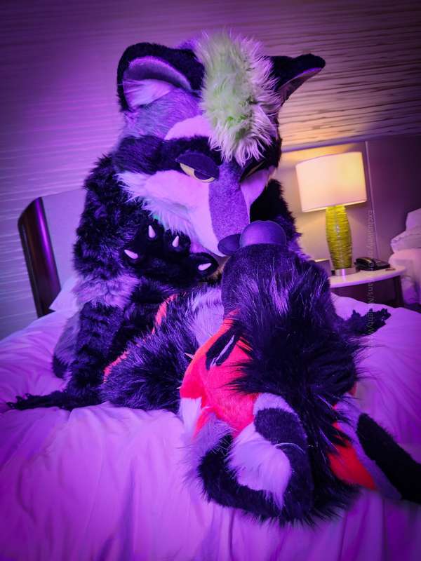 This raccoon really knows how to feel me up… 😳 I don’t think.. 2