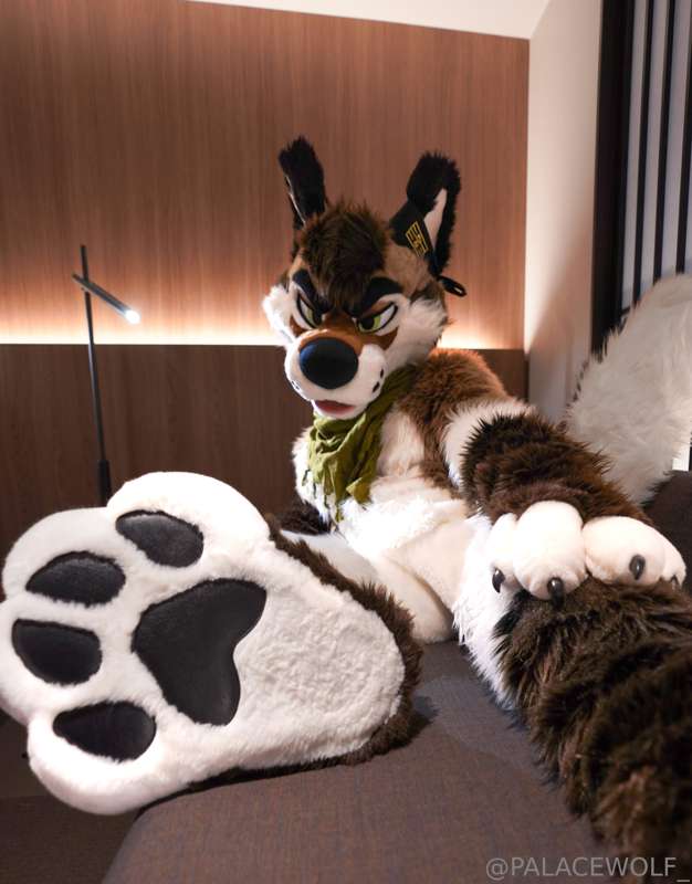 paws, anyone?😏