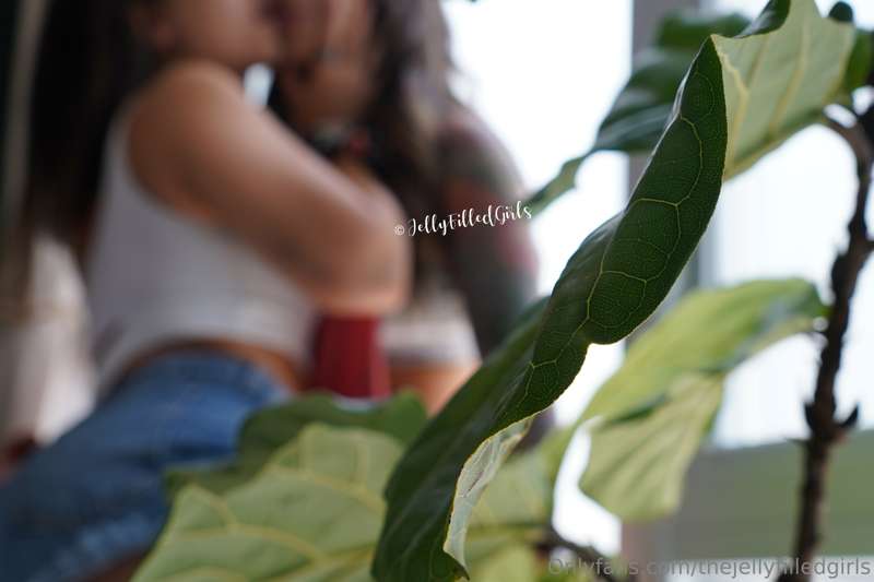 If you were a plant in our room, the thangsss you would see ..