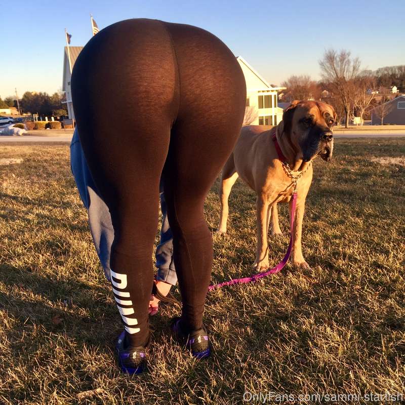 Taking the dog for a walk in the park 😉 1