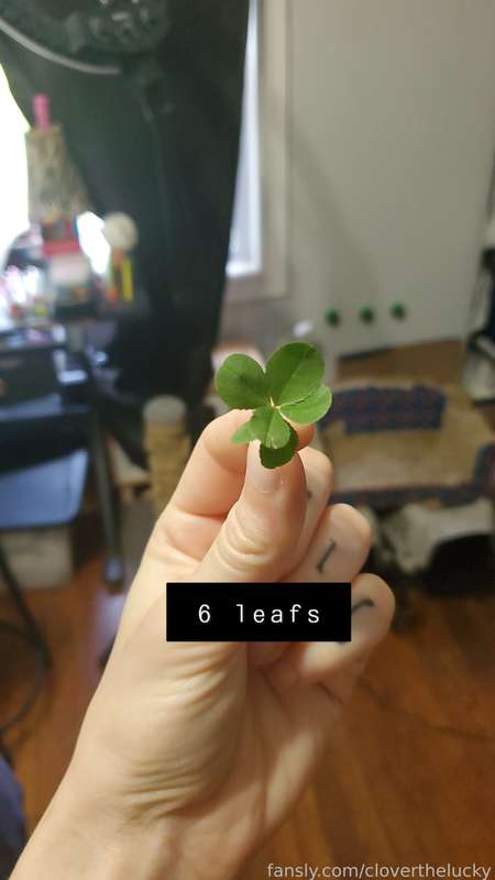 Cloverthelucky - Fansly - 02 Jun, 2023 1