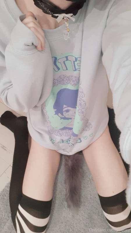 Kitty boi 2
