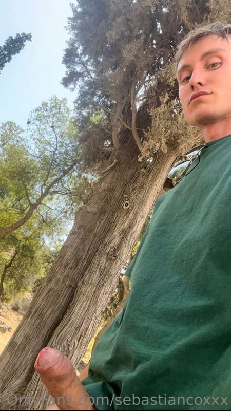 There is a lot of wood in these woods!