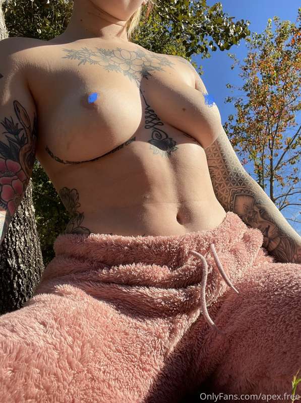 Sunlight boobies