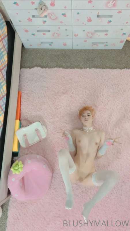 Another kitty girl post :3 what’s your favorite picture? I t.. 21