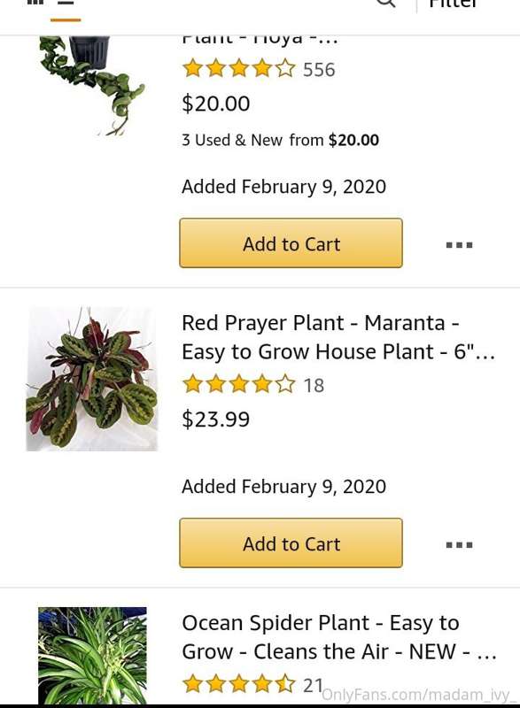 someone pleasseee send me an Amazon gift card I wanna spoil .. 4