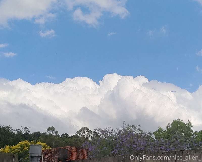 From my window 2