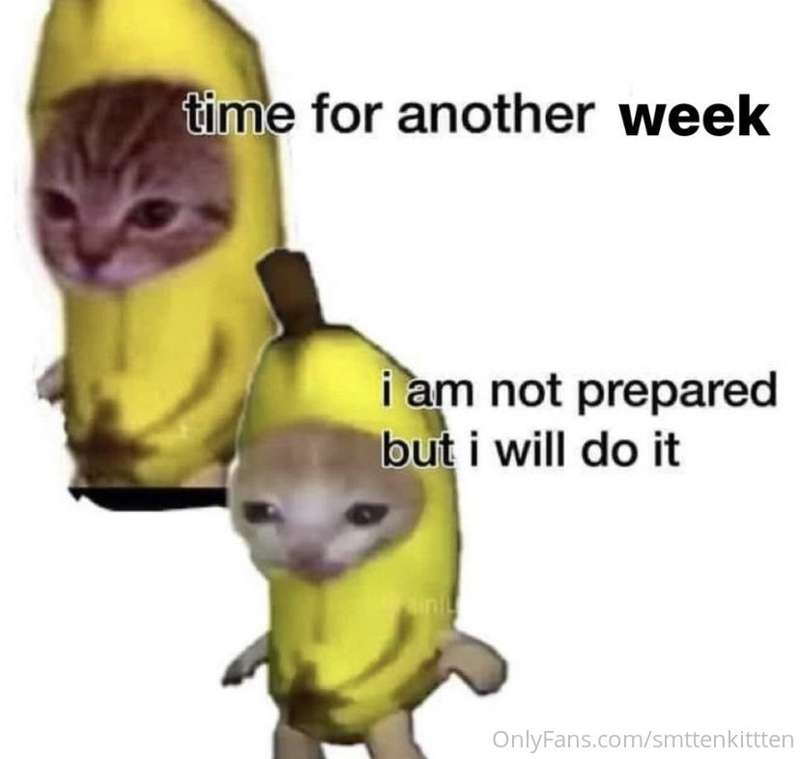 Another week, here we go! I got something fun for everyone t.. 1