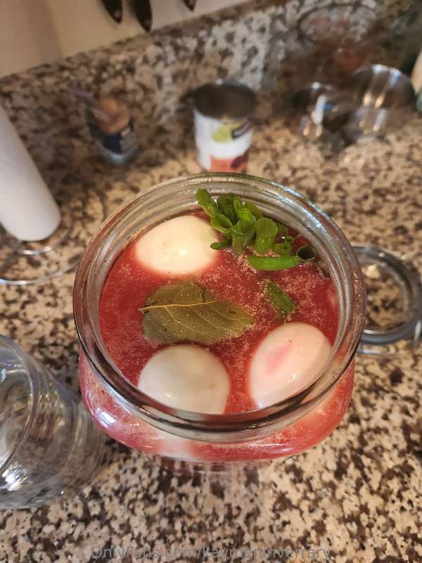 Oh oh daddy's cooking. Who likes pickled eggs? If you dont y.. 2