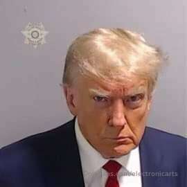 Introducing our chief financial officer...DONALD J TRUMP!!