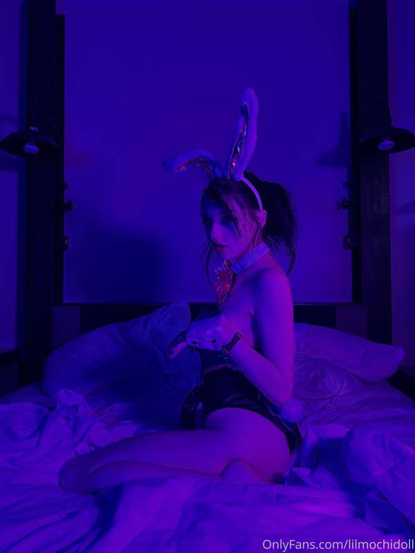 Dva bunny 12