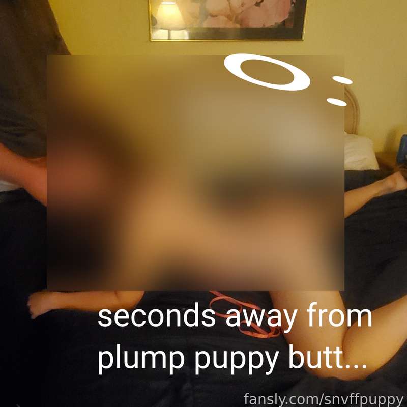 Snvffpuppy - Fansly - 2025-05-30T11:47:43