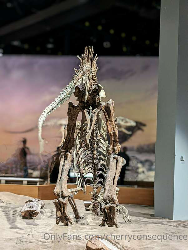 This is a dinosaur's butt 🦖 while I watch the Snyder cut of ..