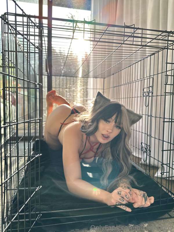 Blxxdbunny - Onlyfans - 22 Jan, 2025 5