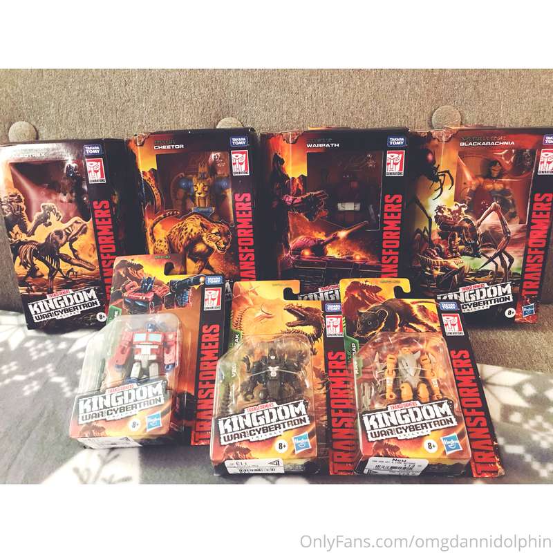 Bring in the holidays! Kingdom figures show up! 💙🎄 Thanks fo.. 2