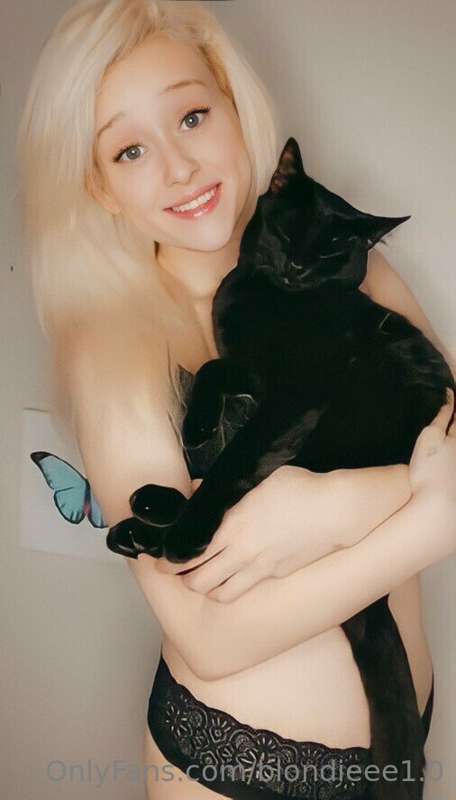 Meow 🐱🐱