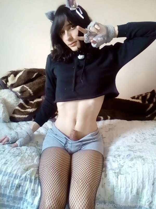 meow meow, im smal >. 5