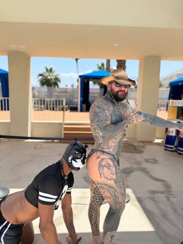 Having a blast in Palm Springs today 🌴 @doggoraeko @joey_tim.. 5