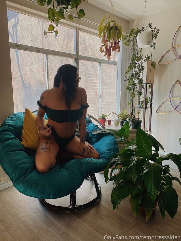 🌱🌱🌱 2