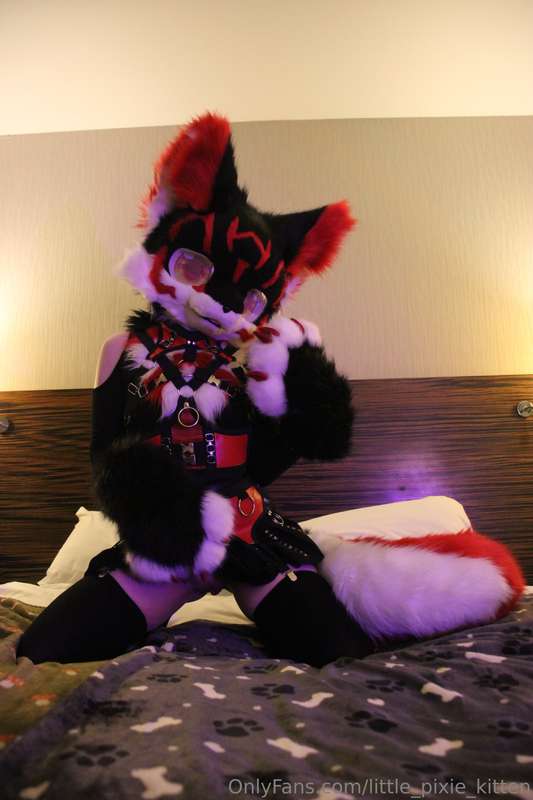 Koji pics in the hotel! ♥️🖤🤍 5