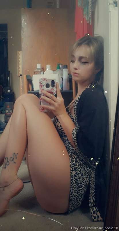 🐆🐾