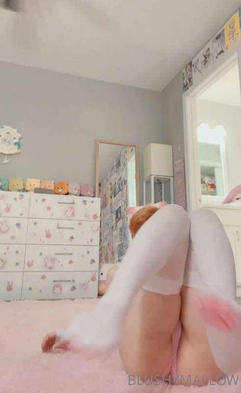 Another kitty girl post :3 what’s your favorite picture? I t.. 7
