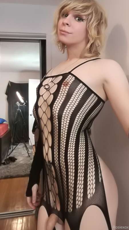 Full Body Fishnet Set 4/8 x 15