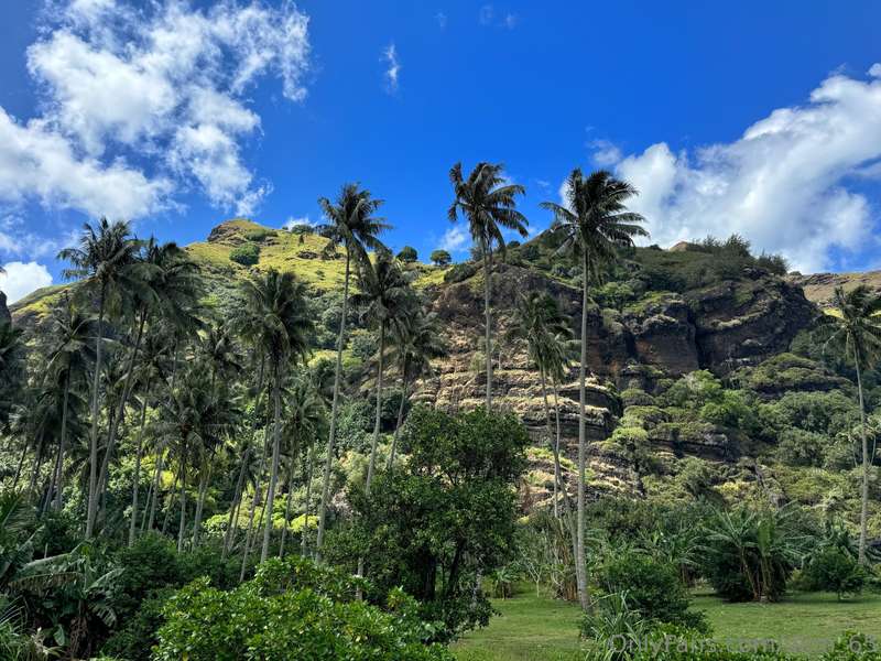 Been so busy running from island to island doing touristy th.. 5