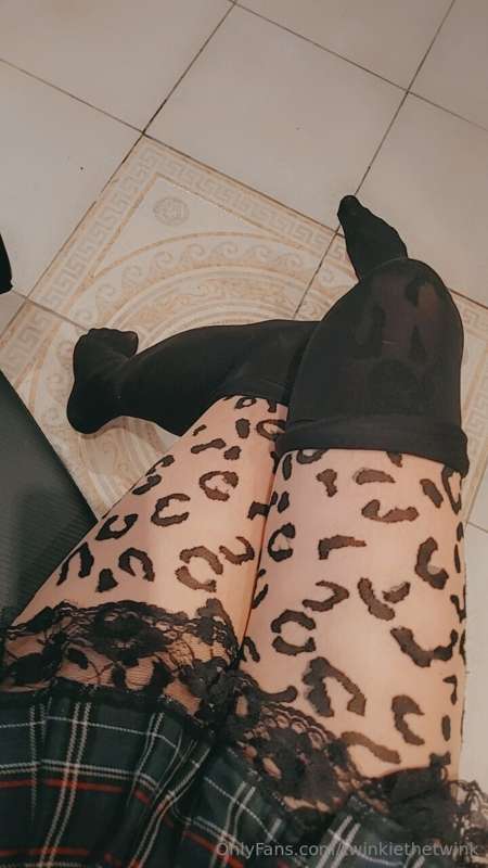 Catboi 😎💕😼 5