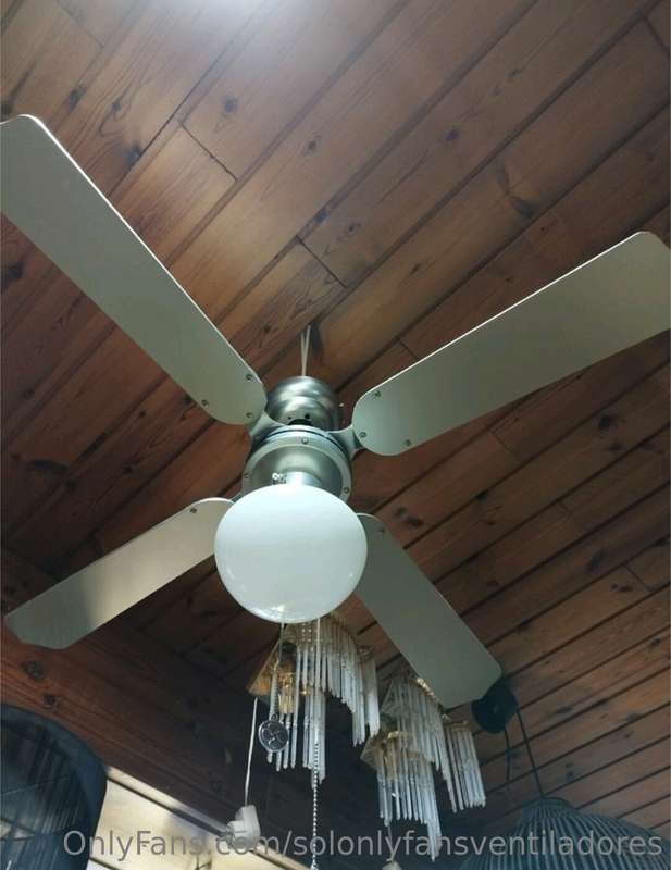 Wooden cabin fan 🛖