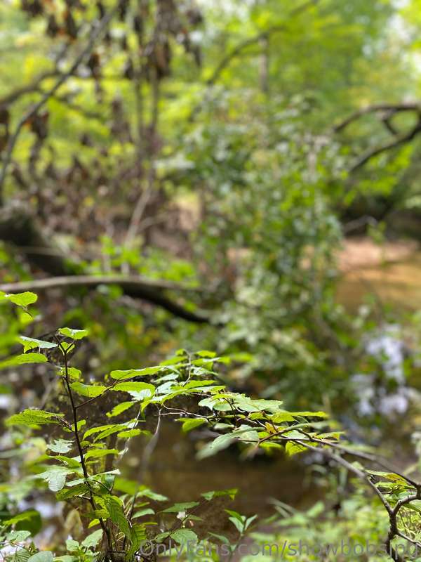 I love going on hikes!!! And walks. Just being outside in ge.. 3