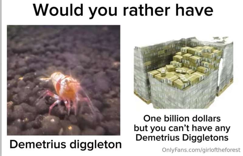 Hmmmmmmmmm 