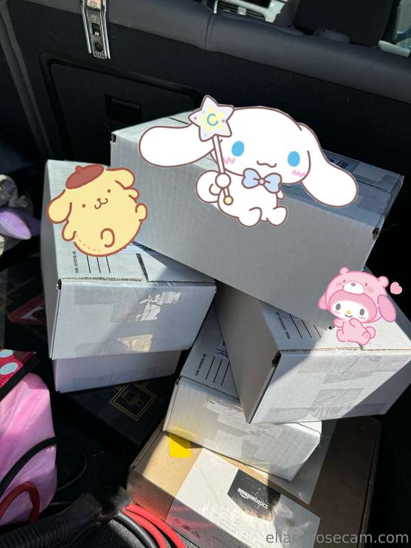 Sent out 5 boxes today filled with wheel spin prizes like my..