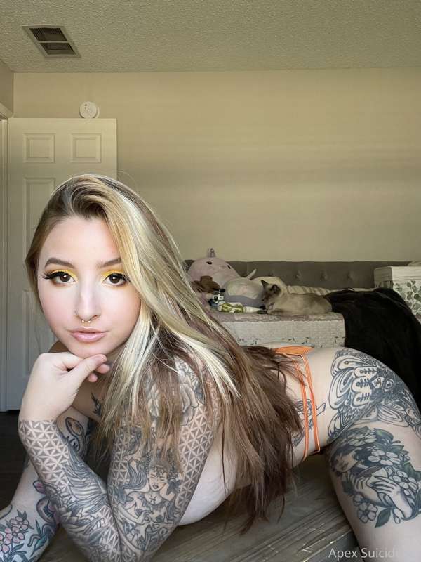 🐅 1