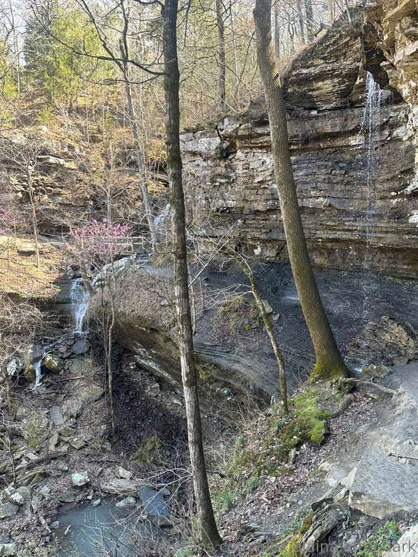 We enjoyed a lovely spring hike followed by sushi at our fav.. 5