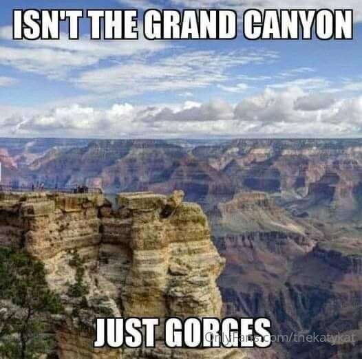 Meme of the Day!