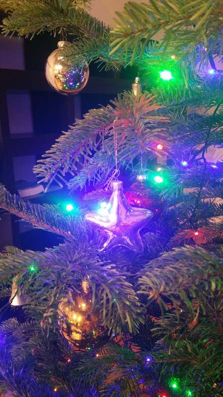 🎄✨