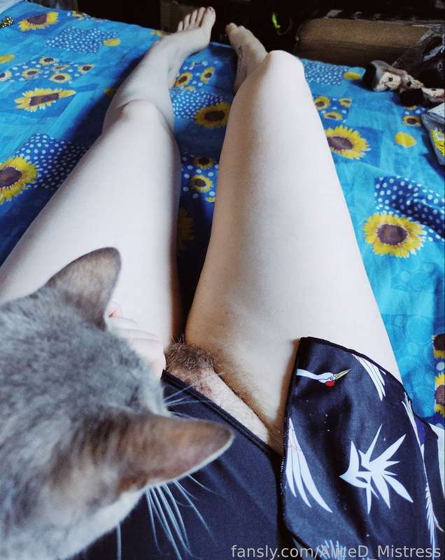 Aliced_Mistress - Fansly - 20 Aug, 2023 1