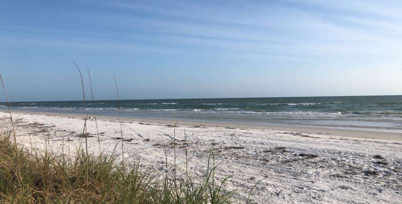 Our beaches opened yesterday. I wasn't able to go because I ..