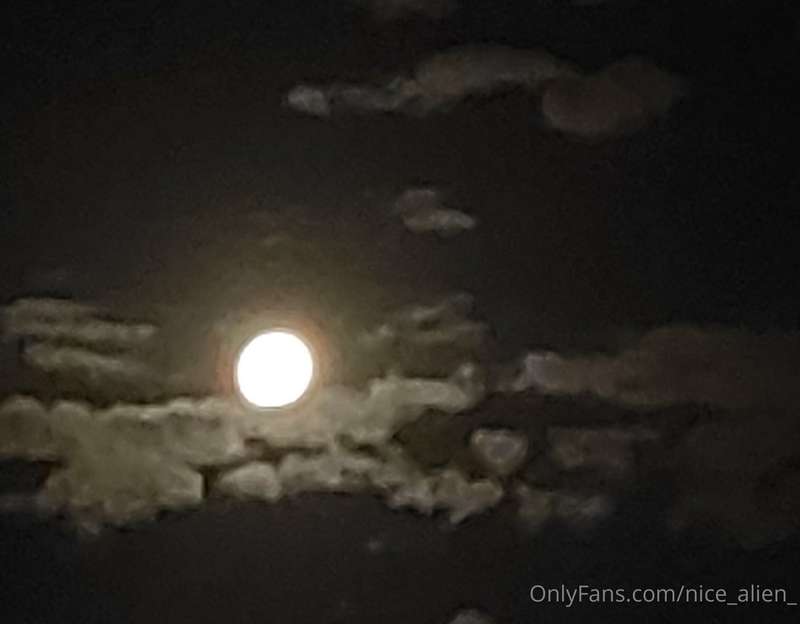 Pictures of a beautiful moon taken with a bad camera 2