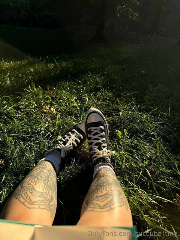 🌲 Today I was in the forest - silence, only the whisper of t..