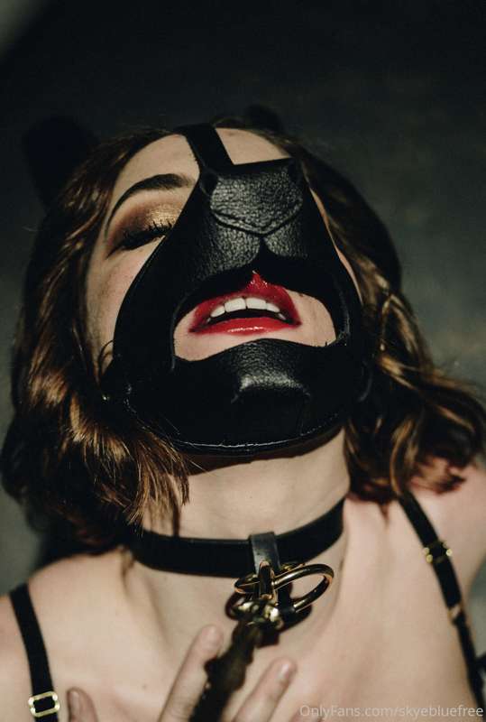 Puppy mask 1
