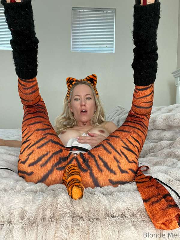 Swipe to strip this naughty tiger 🐅 26