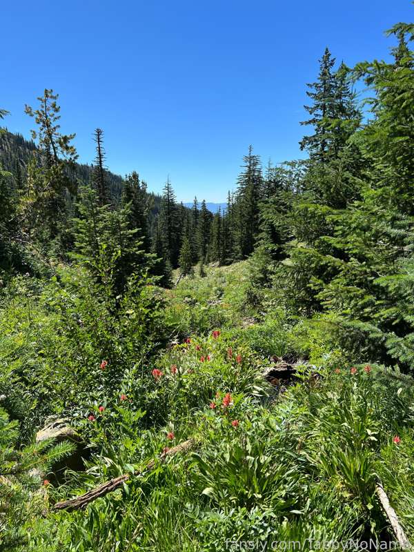Tabbynoname - Fansly - 05 Aug, 2022 3