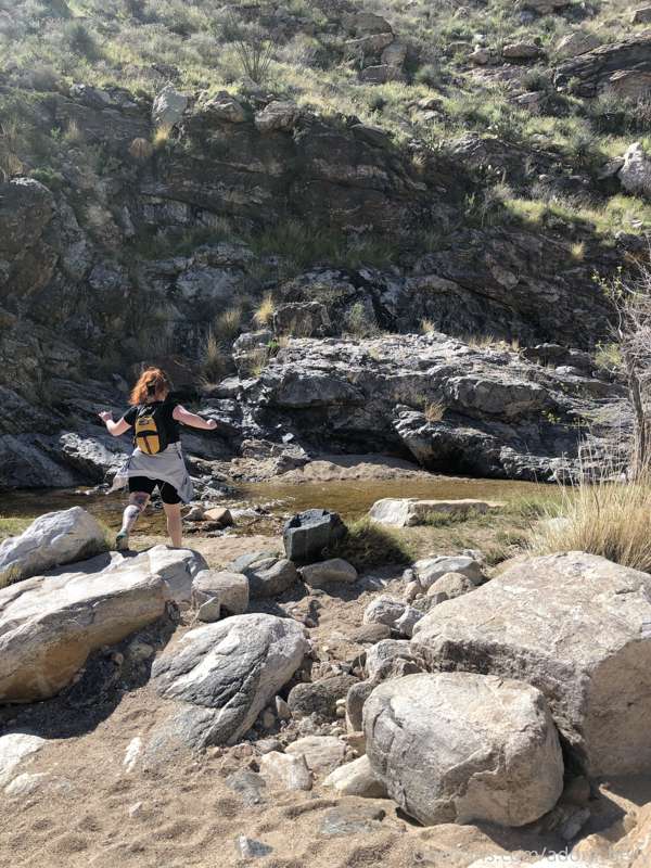 Went on a really beautiful hike this week 💕🌵 2