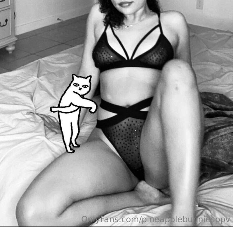 Cat problems   Insta post @blackcatwalkz