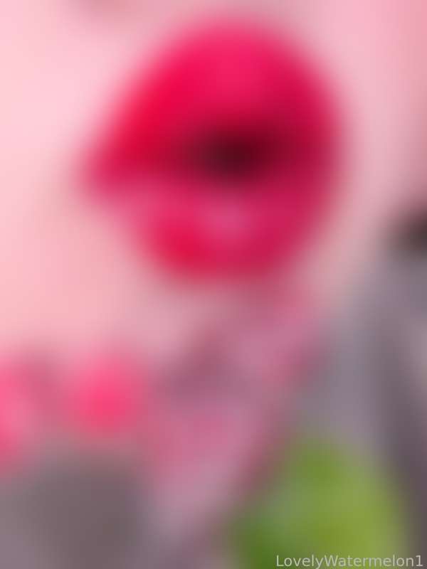 Lovelywatermelon1 - Fansly - 21 Dec, 2023 3