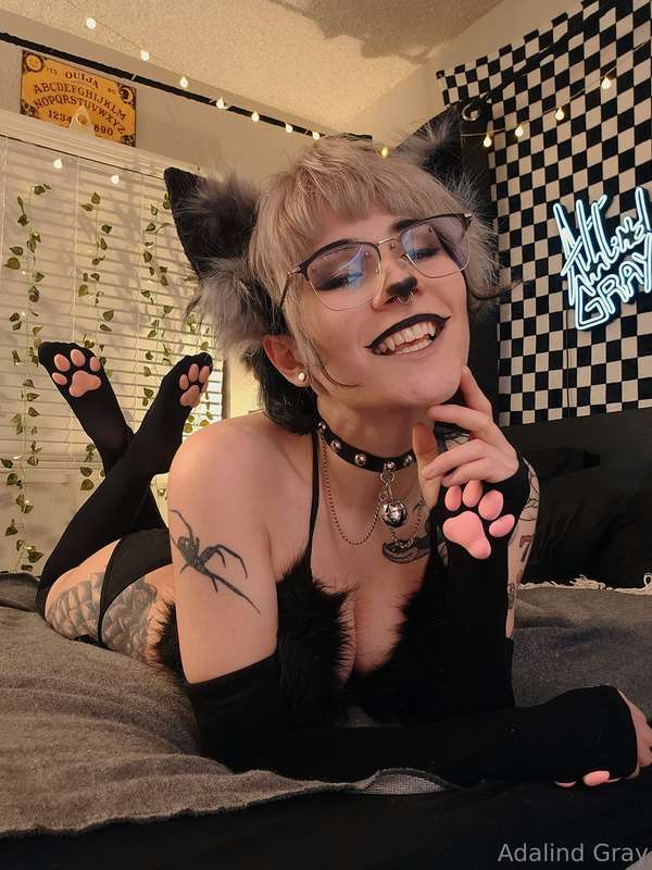 New kitty set drops today 😘