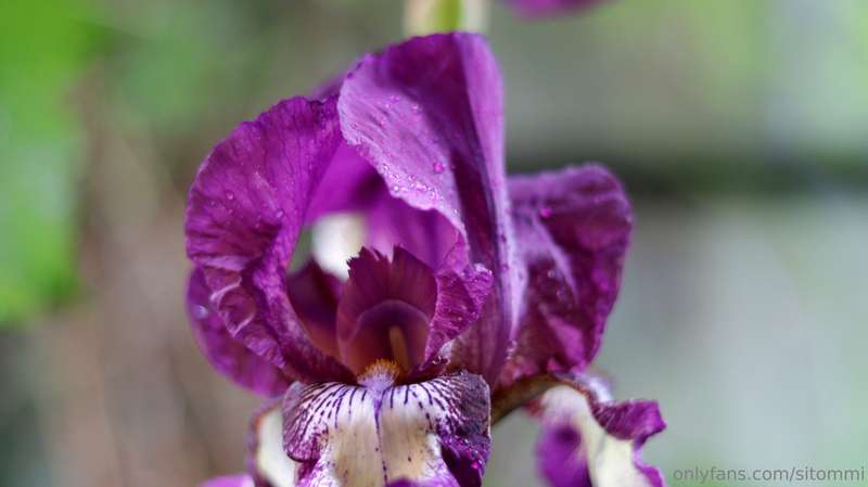 As the cover photo suggests, today I have just a few boring .. 7