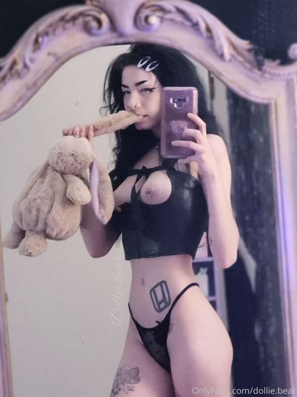 🐰🐰🐰